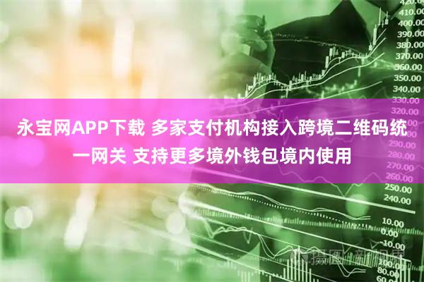 永寶網(wǎng)APP下載 多家支付機(jī)構(gòu)接入跨境二維碼統(tǒng)一網(wǎng)關(guān) 支持更多境外錢包境內(nèi)使用